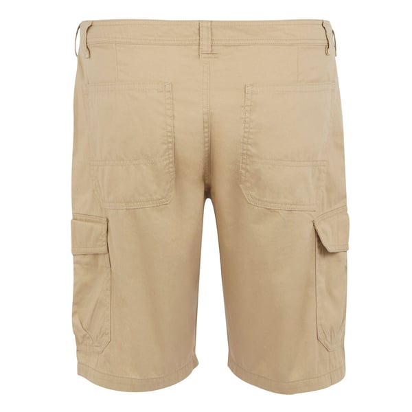 Regatta Mens Ruwan Casual Shorts