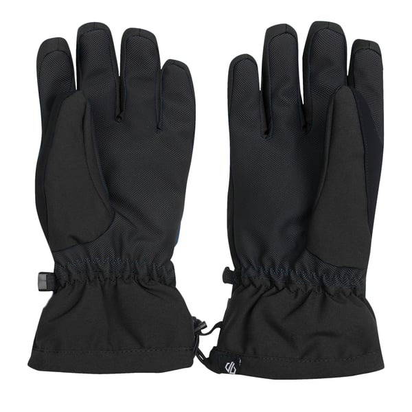 Dare 2B Womens/Ladies Charisma III Logo Ski Gloves
