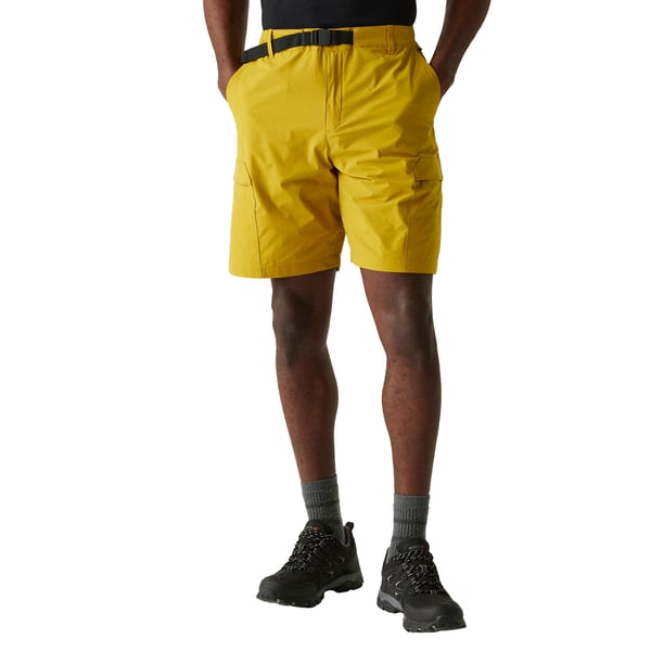 Regatta Mens Mallen Shorts