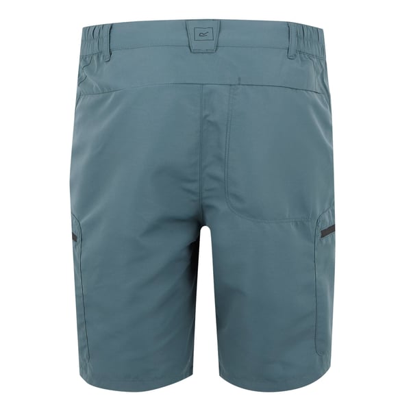 Regatta Mens Leesville III -sortsit