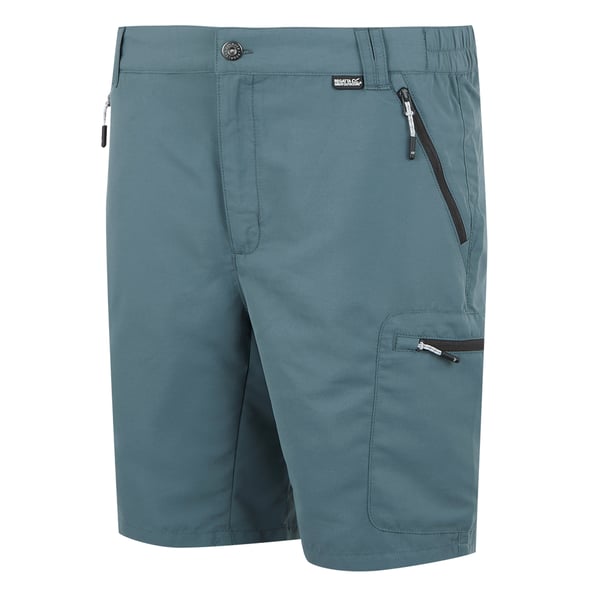 Regatta Mens Leesville III -sortsit