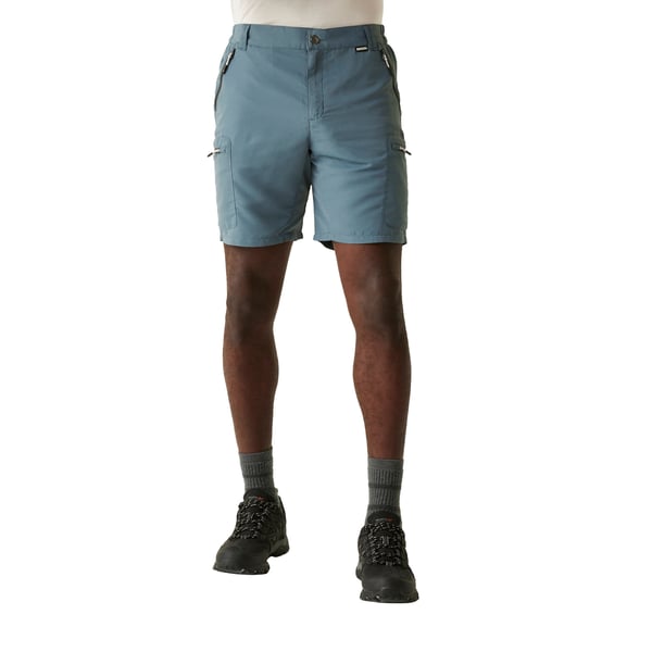 Regatta Mens Leesville III -sortsit