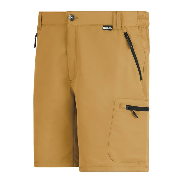 Regatta Mens Leesville III -sortsit