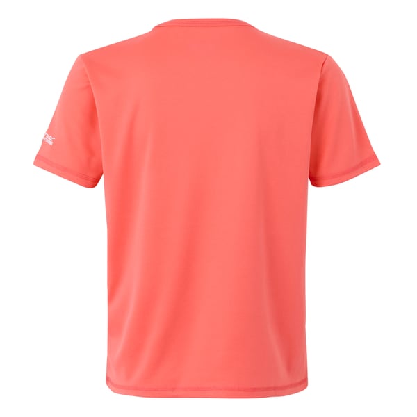 Regatta Childrens/Kids Alvarado IX Mountain T-Shirt