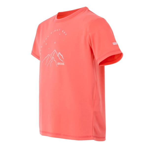 Regatta Childrens/Kids Alvarado IX Mountain T-Shirt