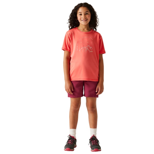 Regatta Childrens/Kids Alvarado IX Mountain T-Shirt