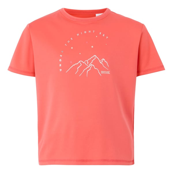 Regatta Childrens/Kids Alvarado IX Mountain T-Shirt