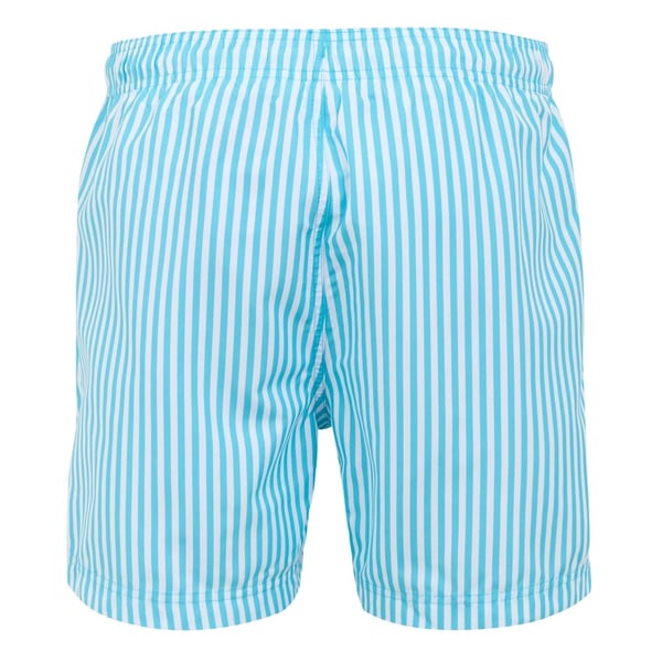 Regatta Mens Loras Striped Swim Shorts