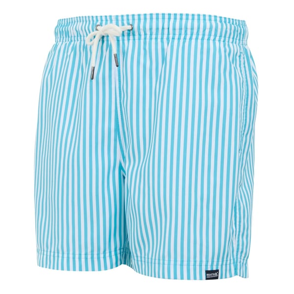 Regatta Mens Loras Striped Swim Shorts