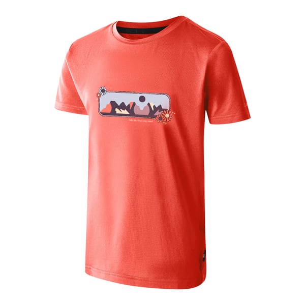 Dare 2B Childrens/Kids Amuse II Mountain T-Shirt