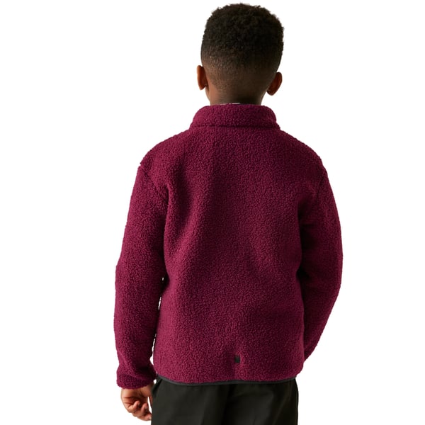 Regatta Childrens/Kids Frankie Full Zip Fleece Jacket