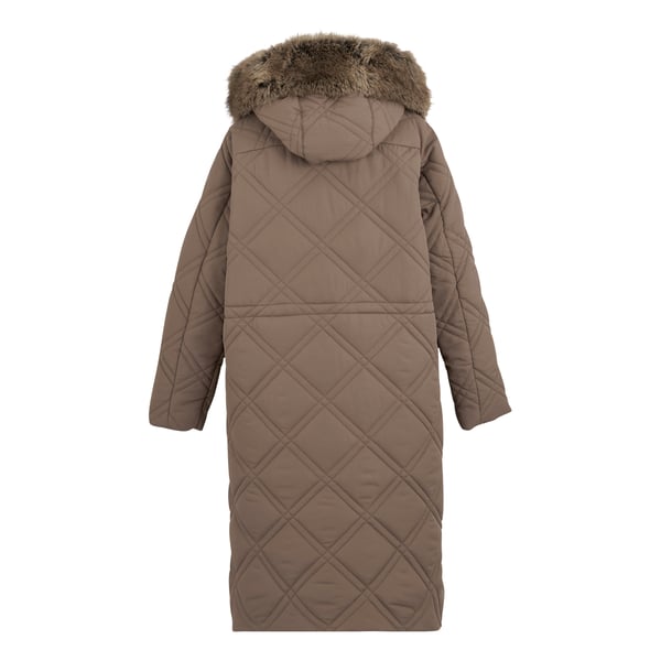Regatta Womens/Ladies Freyla Padded Jacket