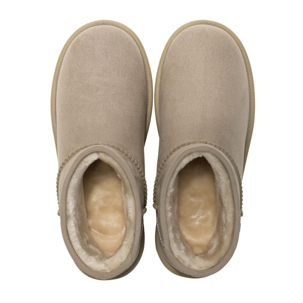Regatta Dam Risley Mules