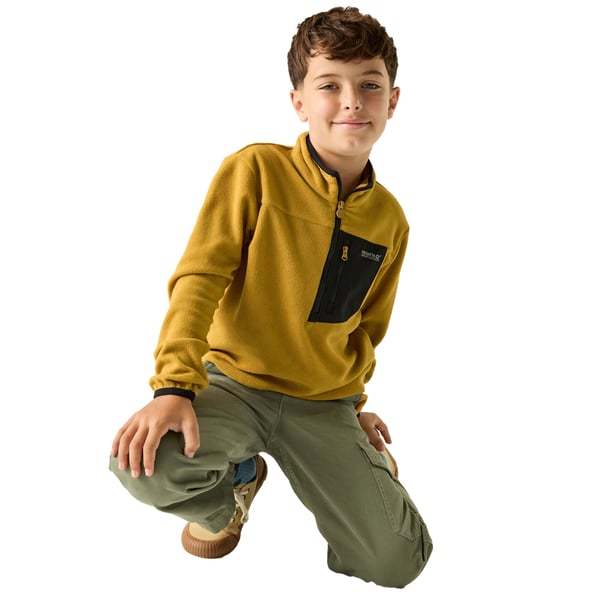 Regatta Childrens/Kids Frankie Half Zip Fleece Top
