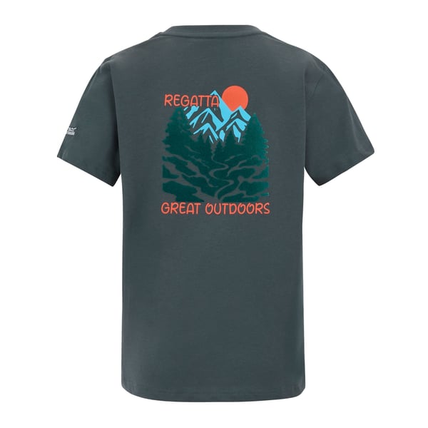 Regatta Childrens/Kids Bosley Mountain Scene Back Print T-Shirt