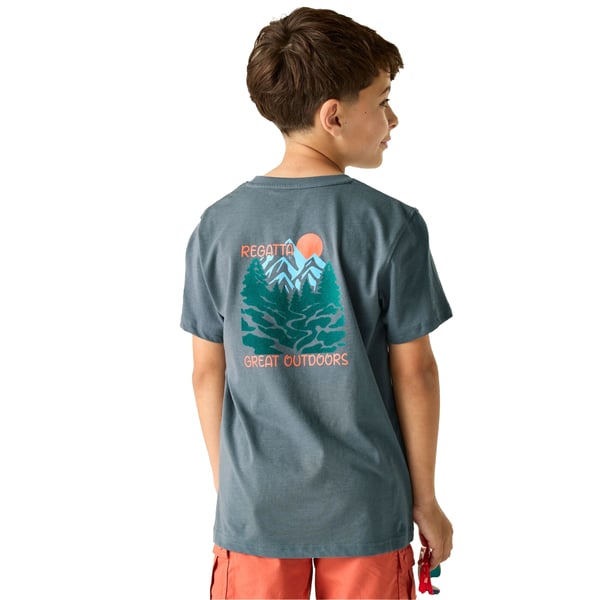 Regatta Childrens/Kids Bosley Mountain Scene Back Print T-Shirt