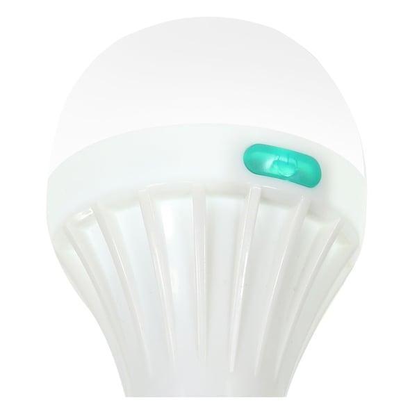 Regatta Teda Lantern Lite (batterier ingår)