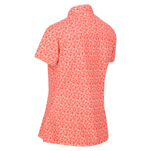Regatta Womens/Ladies Mindano VI Ditsy Print Shirt