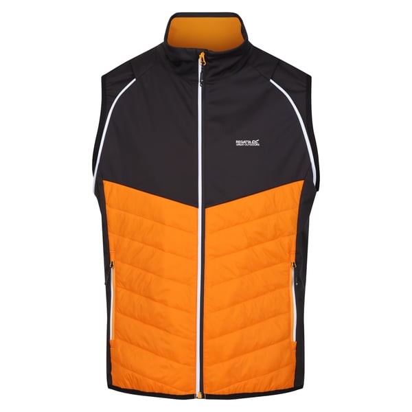 Regatta Miesten Steren Hybrid Softshell-takki