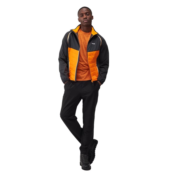 Regatta Miesten Steren Hybrid Softshell-takki