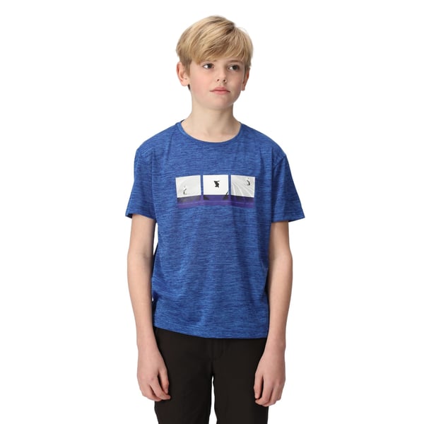 Regatta Childrens/Kids Findley Graphic Print Marl T-Shirt
