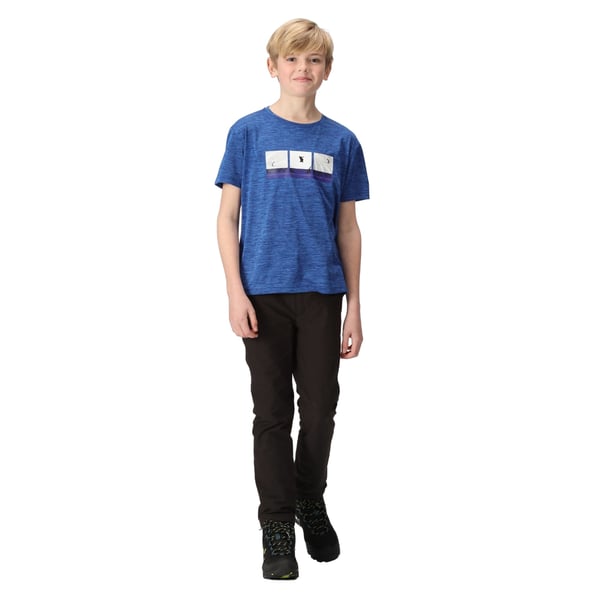 Regatta Childrens/Kids Findley Graphic Print Marl T-Shirt