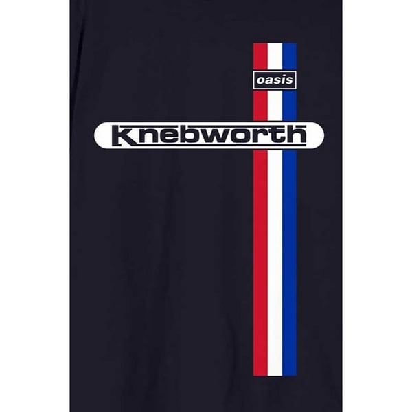 Oasis Unisex Adult Knebworth Vertical Stripe T-Shirt