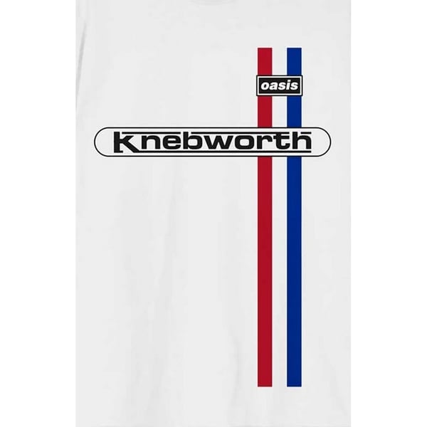Oasis Unisex Adult Knebworth Vertical Stripe T-Shirt
