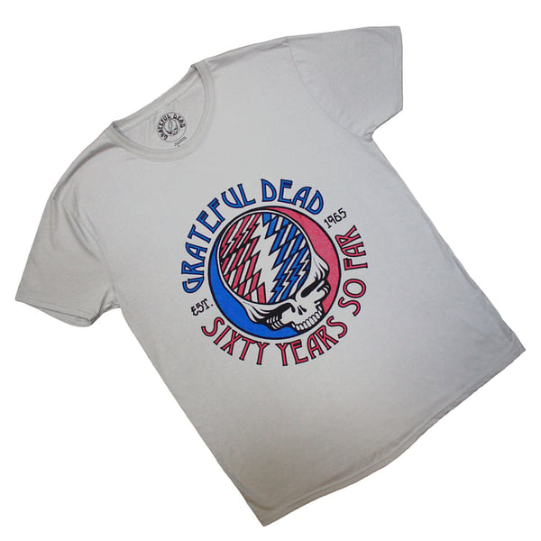 Grateful Dead Unisex Vuxen Stealie 60 T-shirt