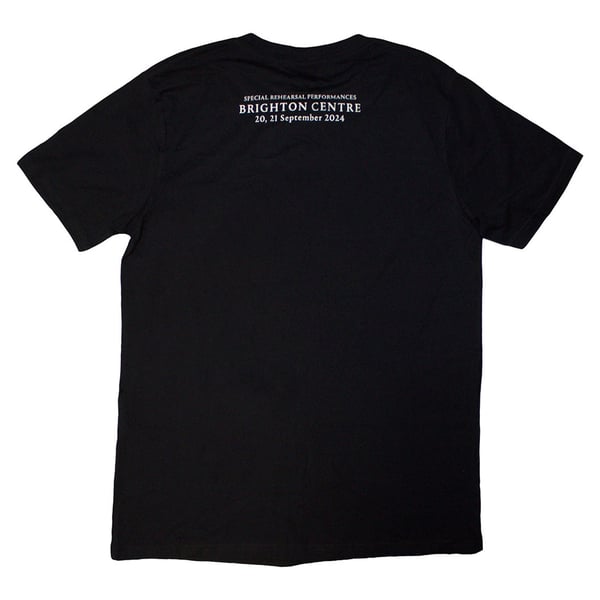 David Gilmour Unisex Adult Luck & Strange Brighton Back Print T-Shirt