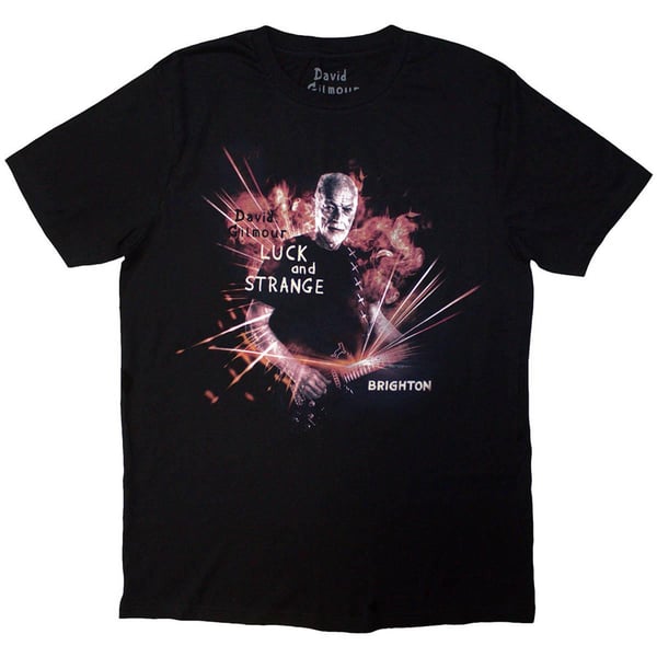 David Gilmour Unisex Adult Luck & Strange Brighton Back Print T-Shirt