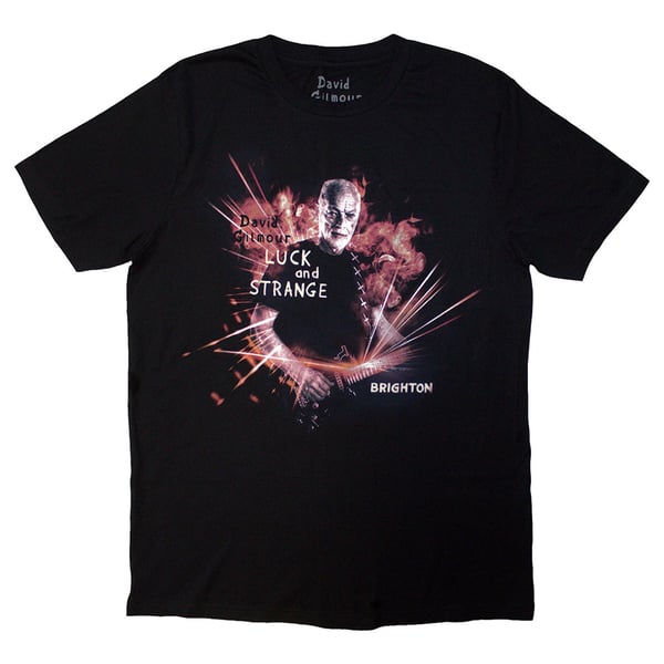 David Gilmour Unisex Adult Luck & Strange Brighton Back Print T-Shirt