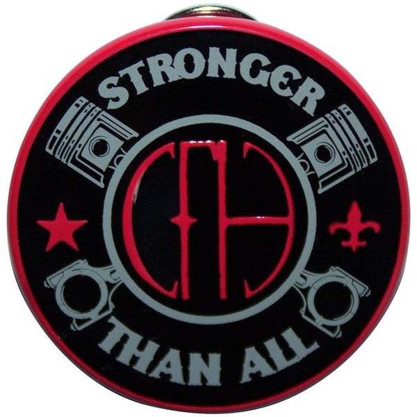 Pantera Stronger Than All Badge