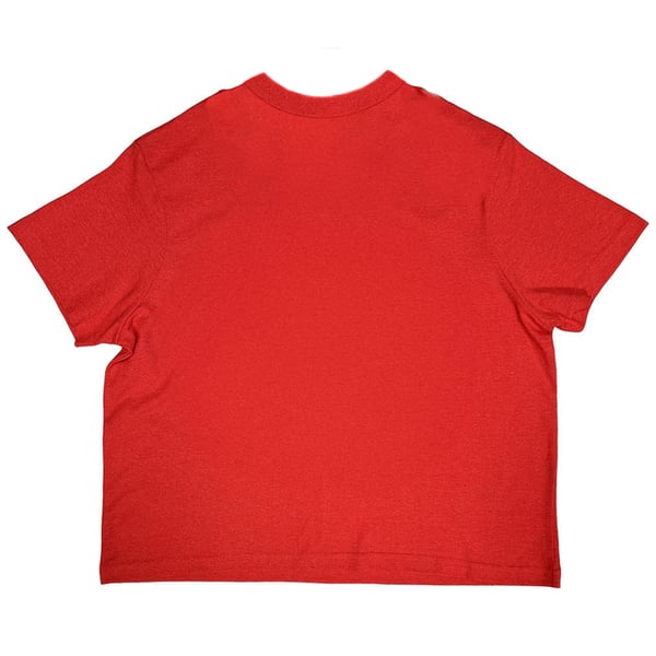TLC Womens/Ladies CrazySexyCool Crop Top