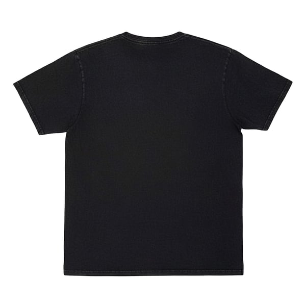 Chris Stapleton Unisex Vuxen Vit Häst Tvättad T-Shirt