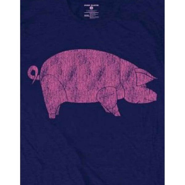 Pink Floyd Unisex Vuxen AWBDG T-shirt med ryggtryck