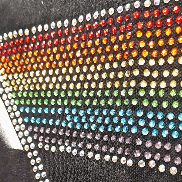 Pink Floyd Womens/Ladies Dark Side Of The Moon Embellished T-Shirt