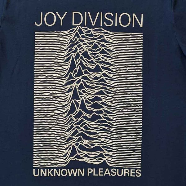 Joy Division Unisex Adult Unknown Pleasures T-Shirt