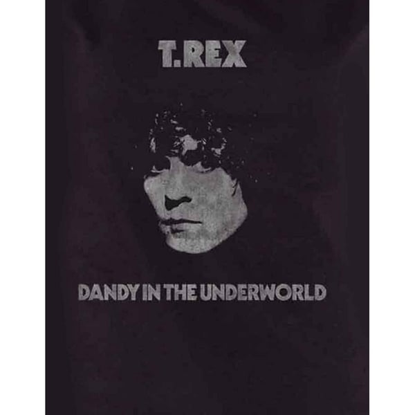 T-Rex Womens/Ladies Dandy T-Shirt