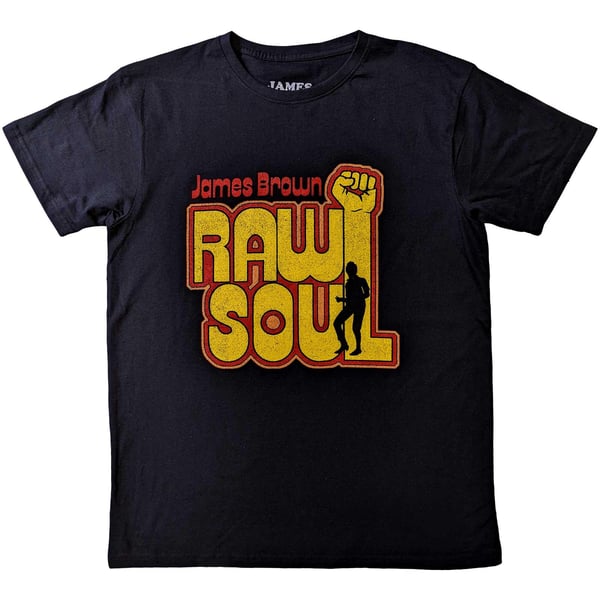 James Brown Unisex Adult Raw Soul Cotton T-Shirt