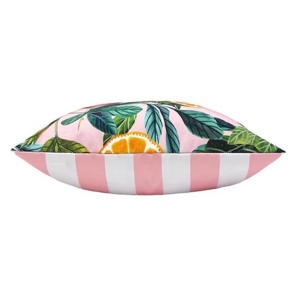 Evans Lichfield Citrus Utomhuskuddfodral