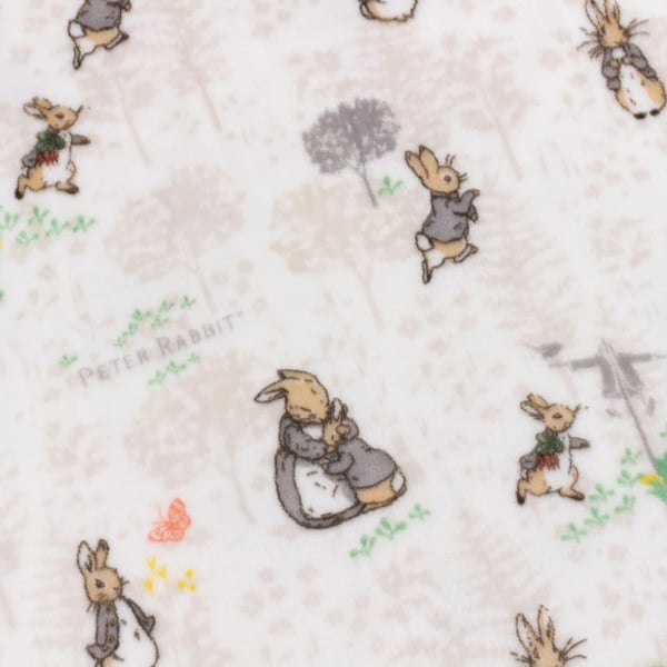 Peter Rabbit Childrens/Kids Fleece Printed Blanket