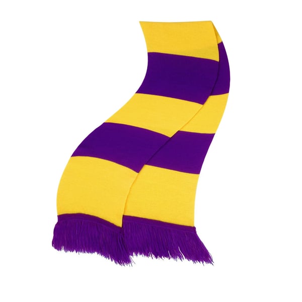 Result Winter Essentials Team Scarf