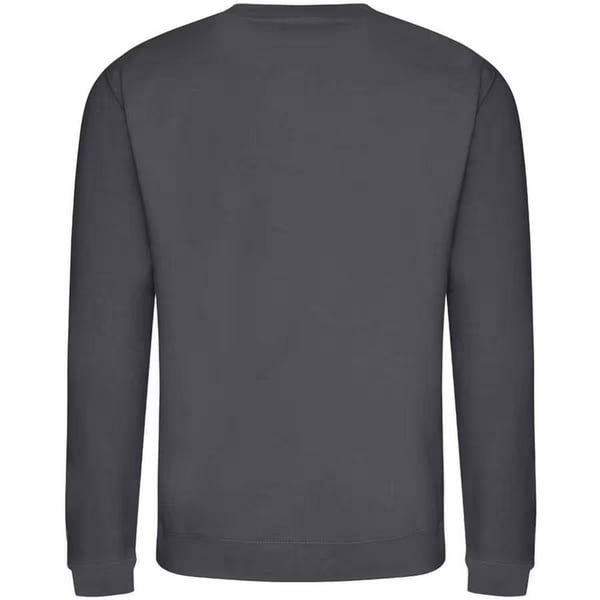 Awdis Sweatshirt med crew-hals til mænd