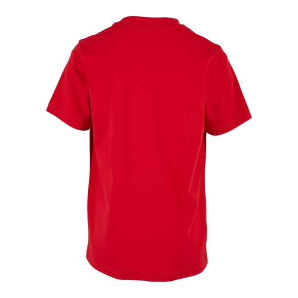 Build Your Brand Childrens/Kids Basic Organic T-Shirt