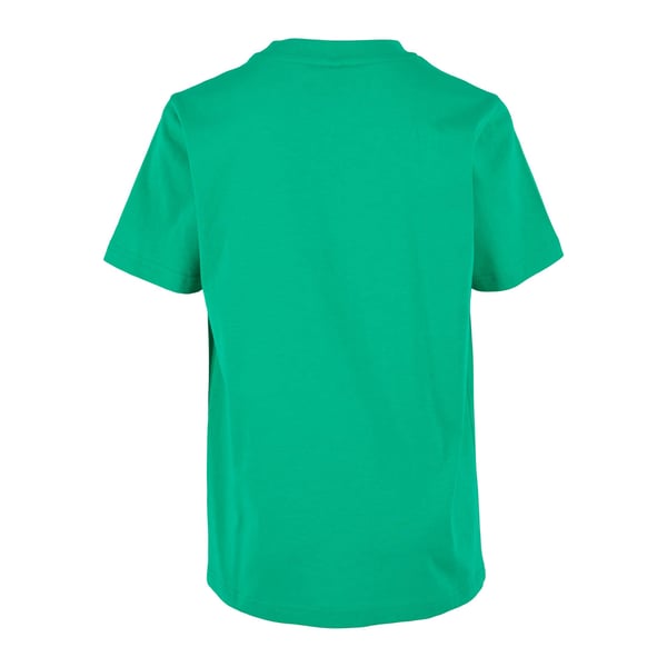 Build Your Brand Childrens/Kids Basic Organic T-Shirt