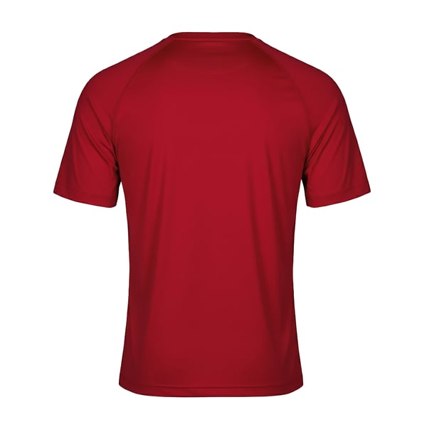Tee Jays CoolDry T-shirt til mænd