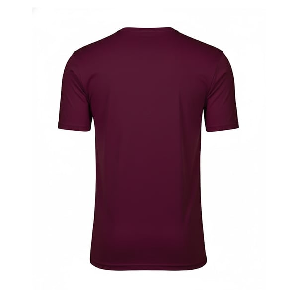 Tee Jays Interlock T-shirt för män