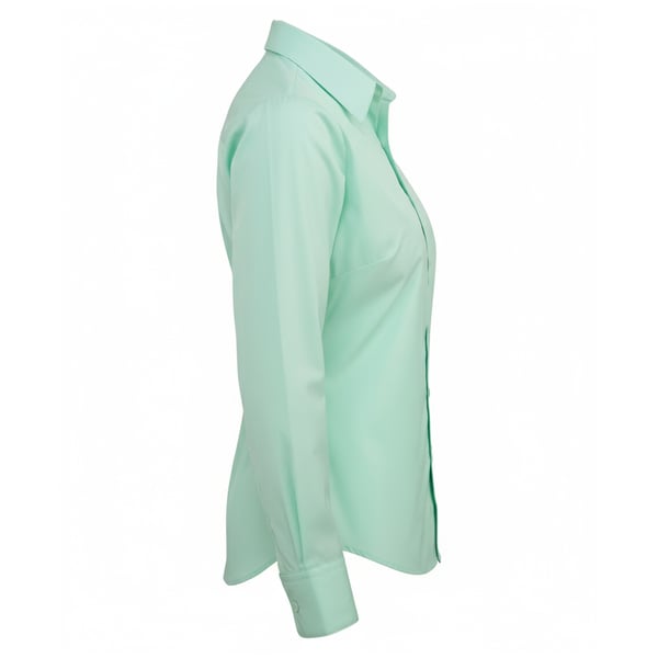 Premier Womens/Ladies Poplin Long-Sleeved Blouse