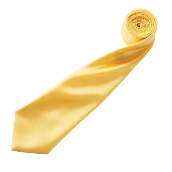 Premier Mens Plain Satin Tie (Narrow Blade)